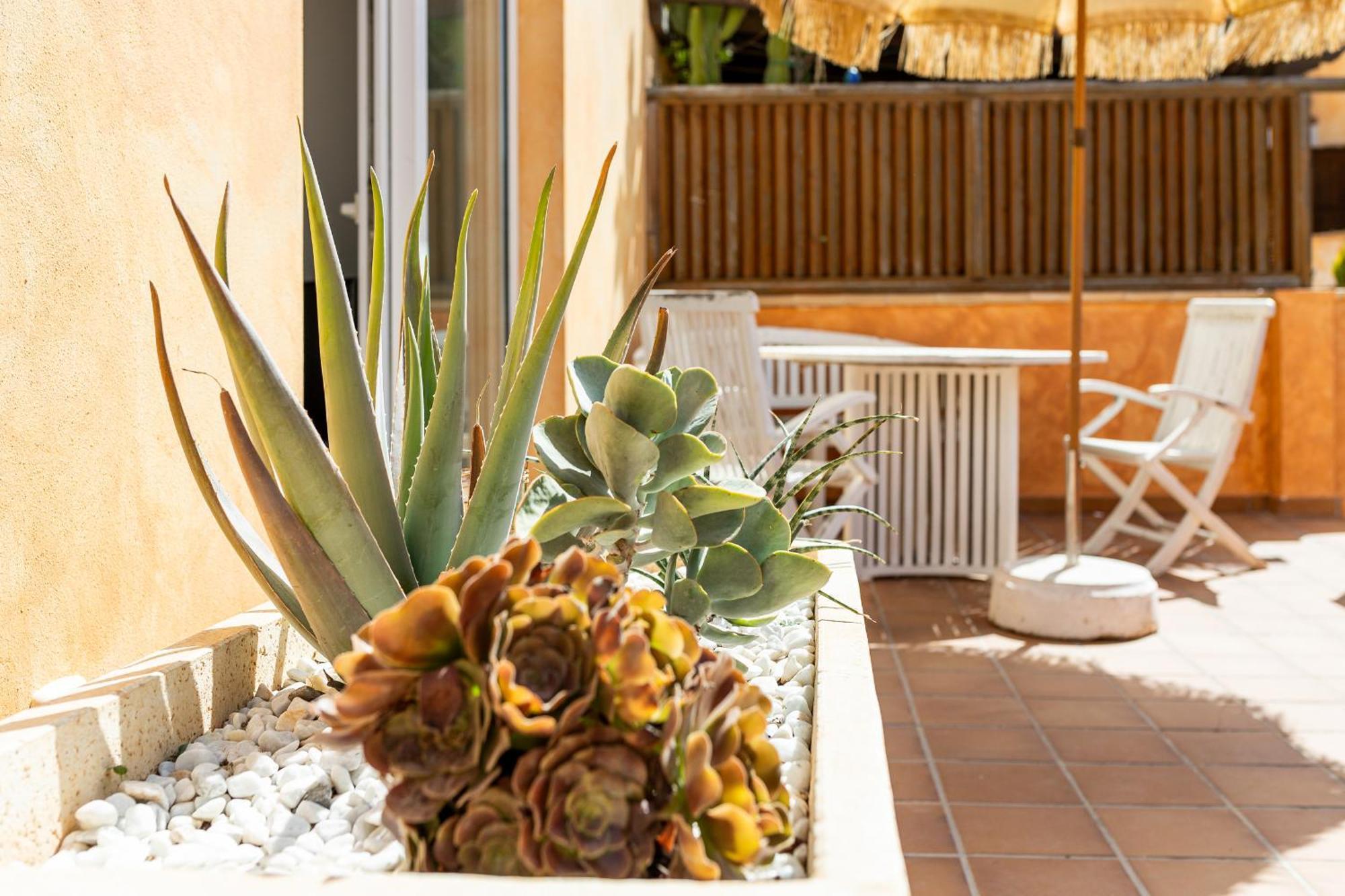 Palm Beach House Коралео Екстериор снимка